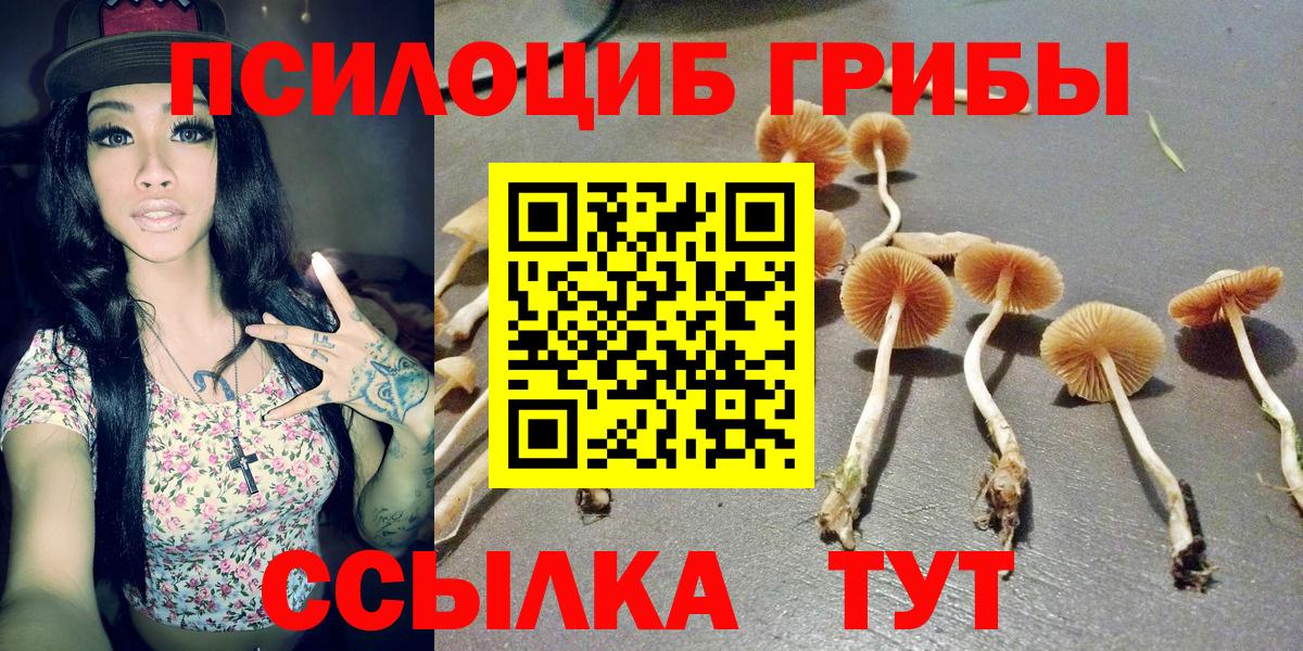 Долгопрудный  Галлюциногенные грибы Psilocybine cubensis  Вход с VPN 